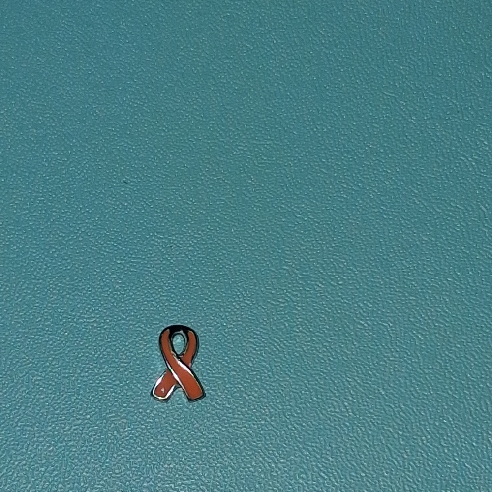 Orange Ribbon Charm Origami Owl
